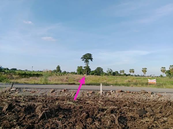 ที่ดิน 3 ไร่