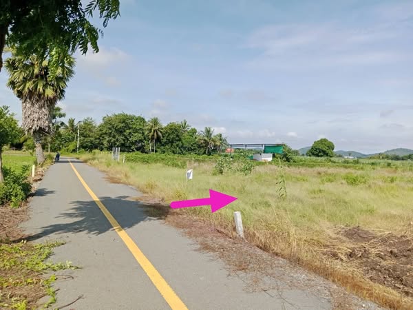 ที่ดิน 3 ไร่