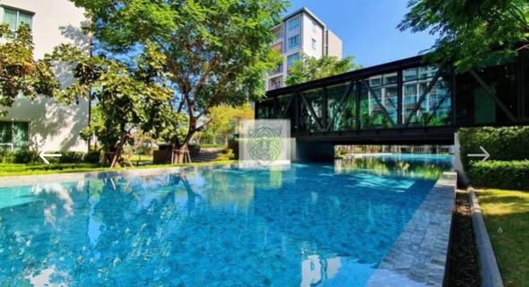 pool of dcondo ping