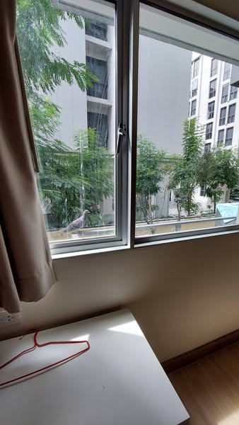 My Condo Sukhumvit 81