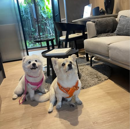 Noble Create (โนเบิล ครีเอท)