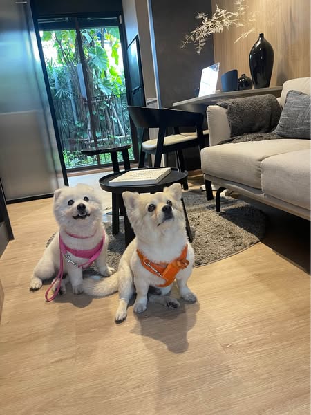 Noble Create (โนเบิล ครีเอท)