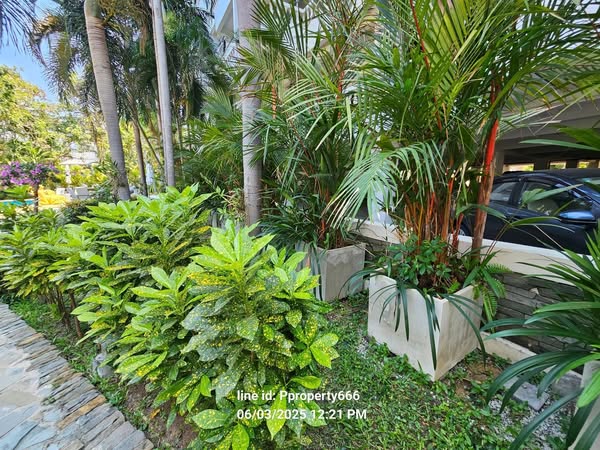 Pattaya Hill Resort