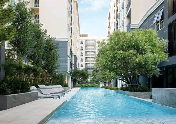 pool of พลัมคอนโด มิกซ์ แจ้งวัฒนะ