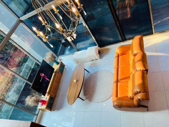 living room of Siamese Thirty Nine