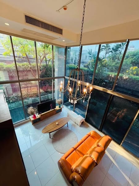 living room and room interior of Siamese Thirty Nine