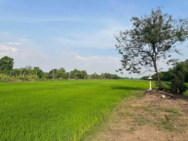 Pathum Thani Provincial Land Office, Thanyaburi Branch