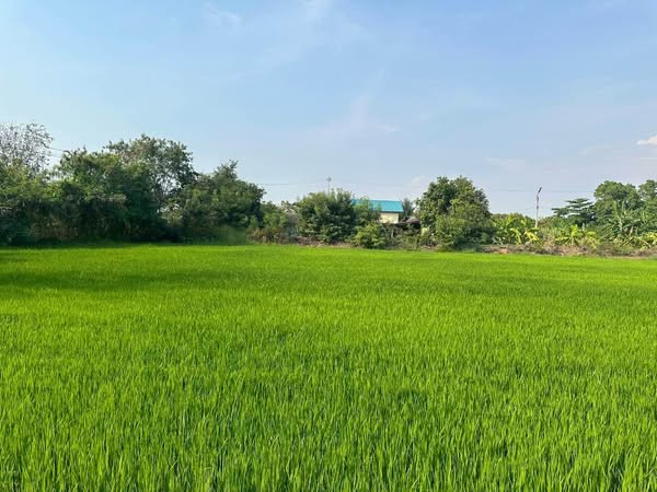 Pathum Thani Provincial Land Office, Thanyaburi Branch